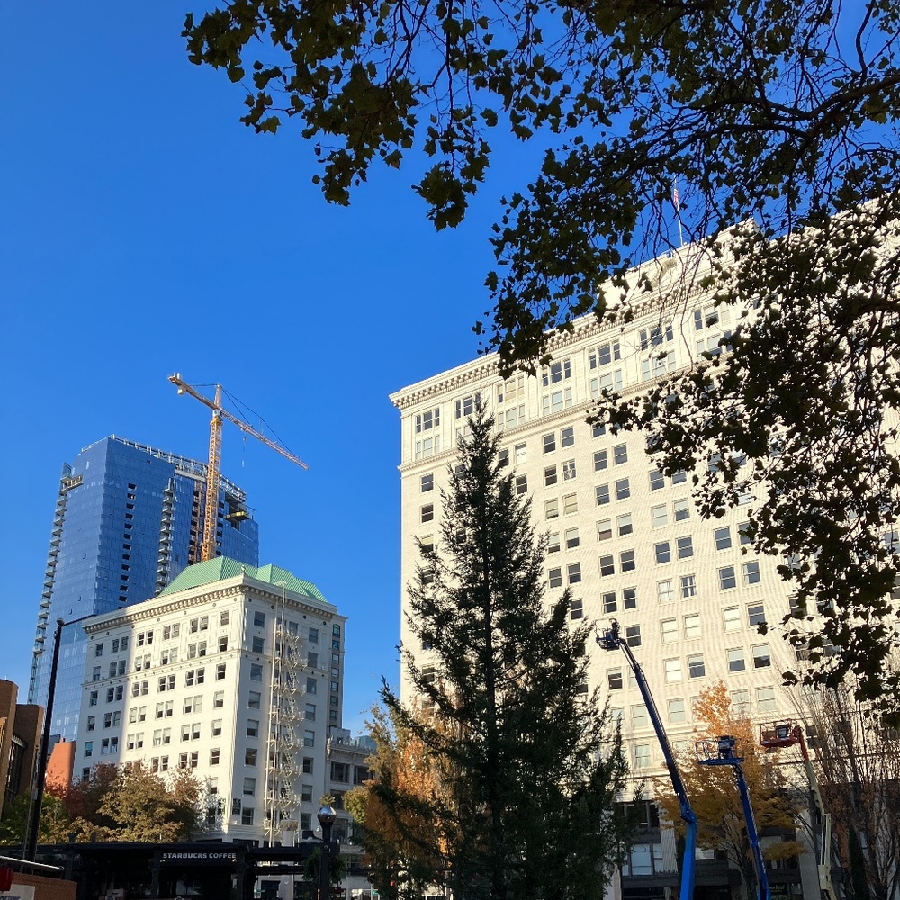 Meet your Posher, Noah